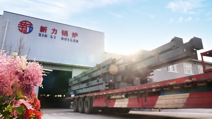 DHL Corner Tube Boiler Delivery