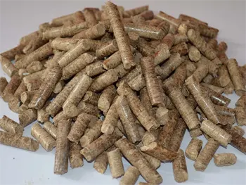 Biomass Pellet