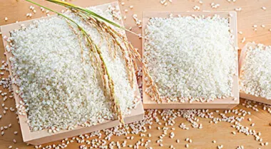 Котел рисовой мельницы