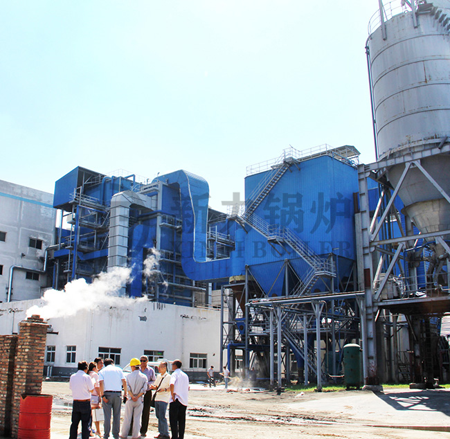 ЦКС-котел производительностью 20 т/ч